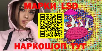 крисы Кунгур
