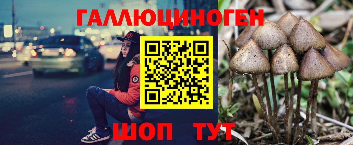 Псилоцибиновые грибы прущие грибы Торжок